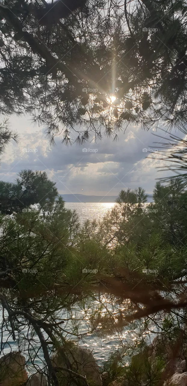 seaside