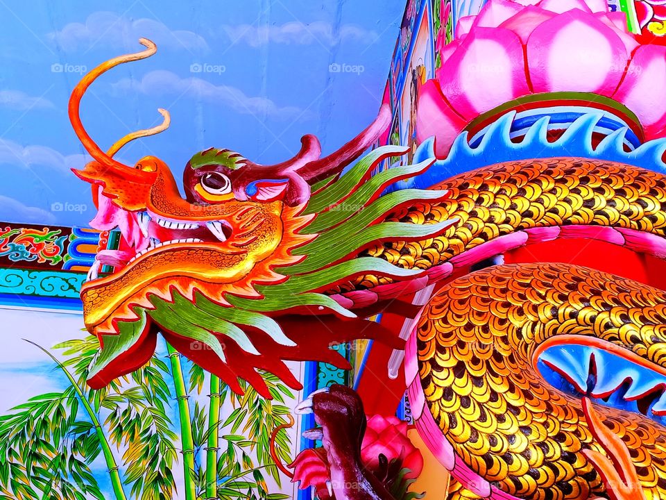 colorful dragon head