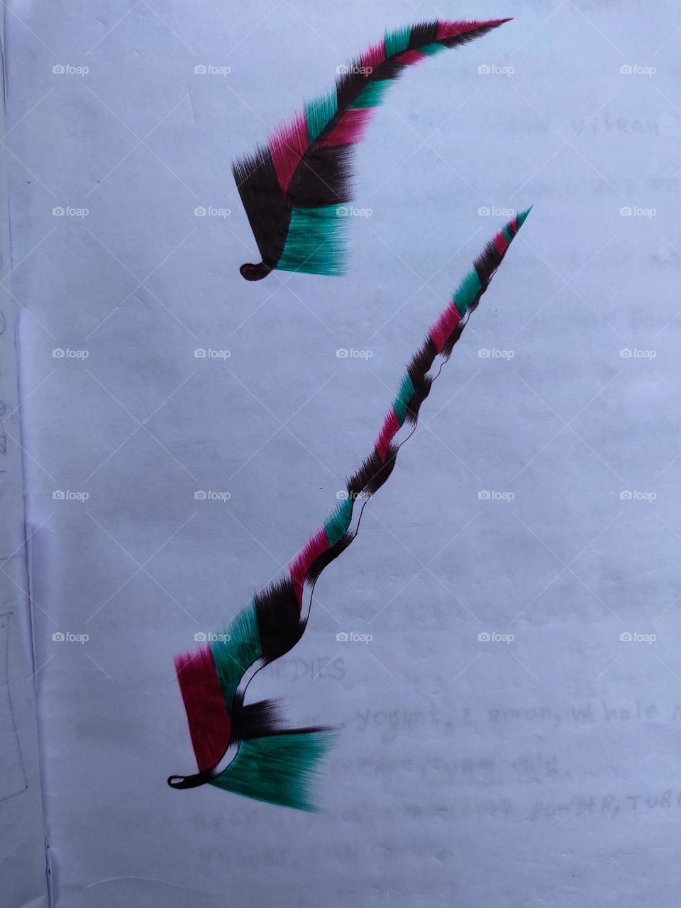The picture of Tia bird's feathers looks very beautiful.  I took this picture myself.  I'm on the account page guys.