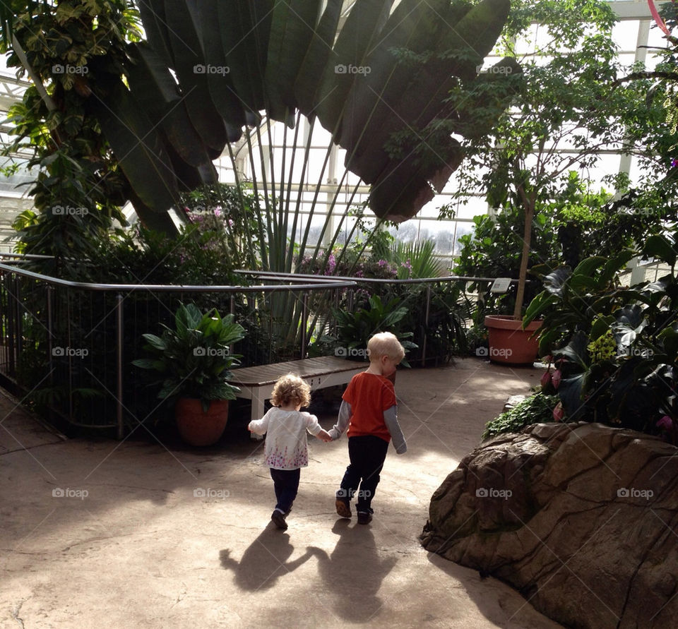 In Wisley tropical glasshouse.