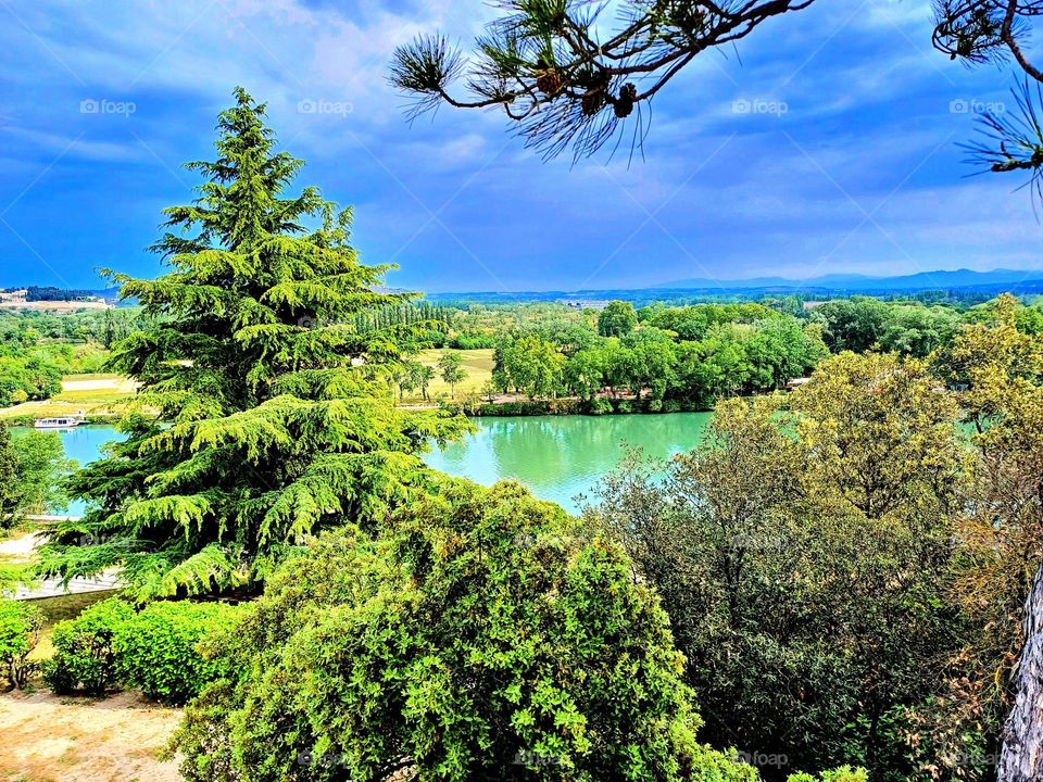 view of the avignon bridge