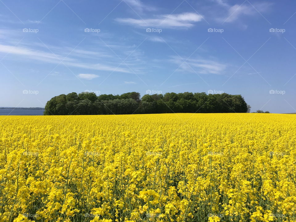 Sweden Skåne landscape