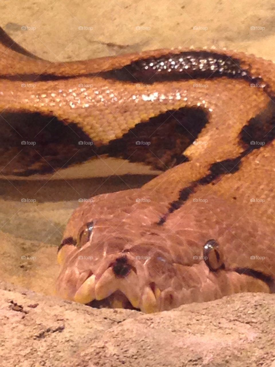 Who Are You Looking At???