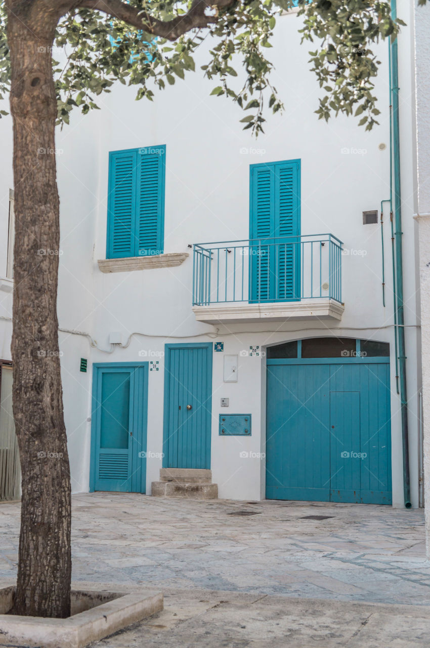 blue doors and windows