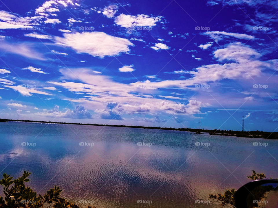 Another Day in Paradise