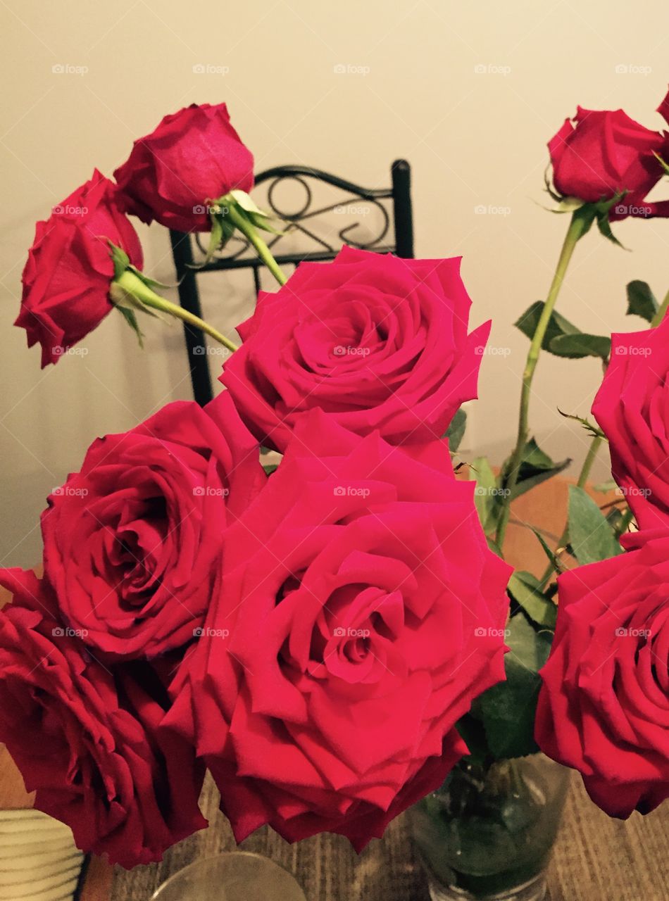 Beautiful close up of  red roses on the table. 
