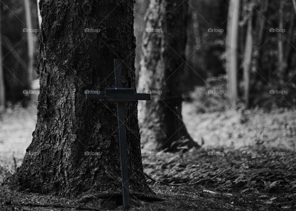 Unnamed graves in nature. Might tell the story of a lover of the wild whitin nature