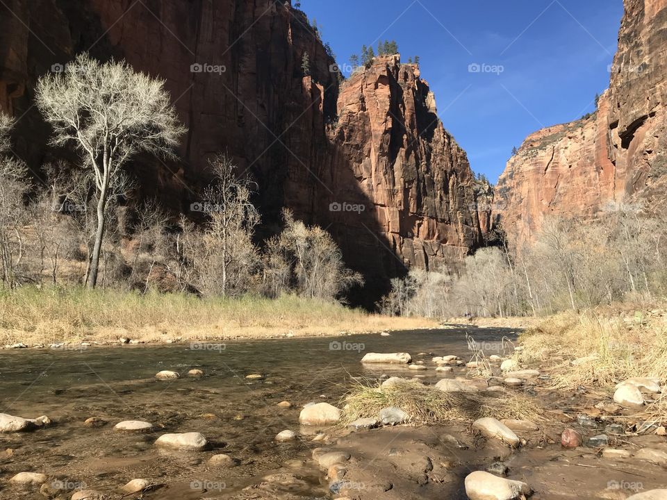 Zion National park river