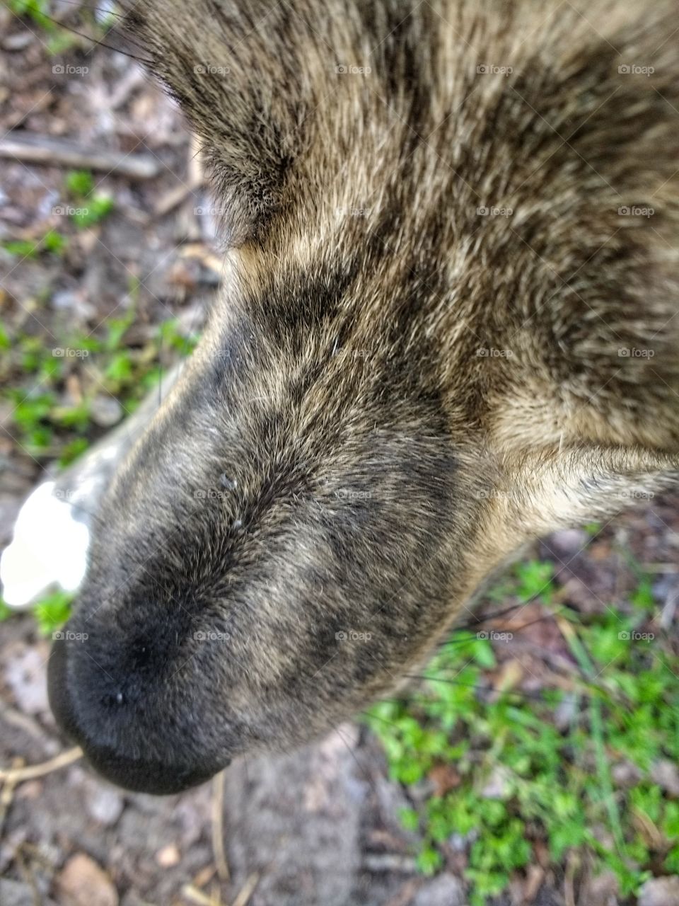 The cutest view ever ♥️