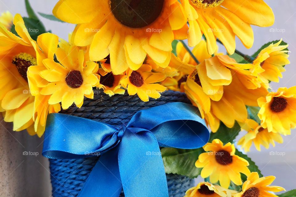 Complementary Colors, Flower Pot