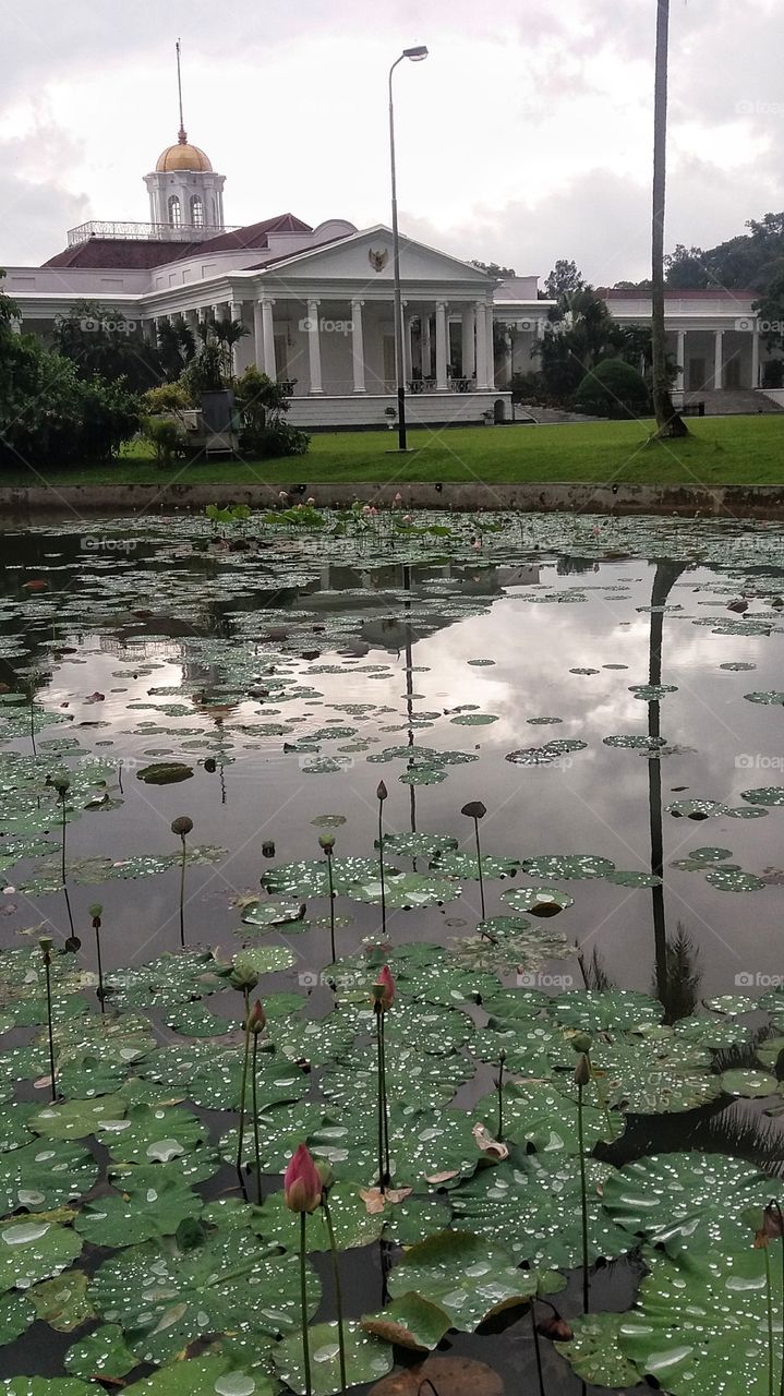 Bogor Palace