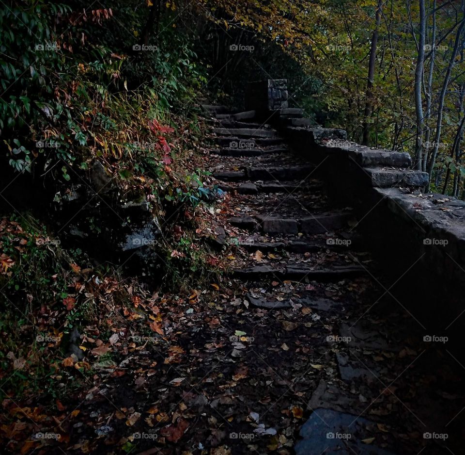 The Path to the Unknown