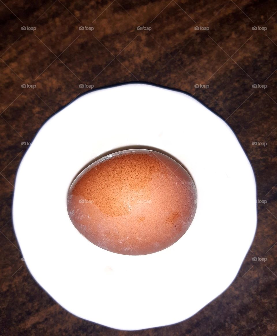 A close-up of a brown egg resting on a white plate, set against a dark wooden background. The lighting highlights the texture and moisture on the eggshell. Captured in Marrakech on January 1,2025