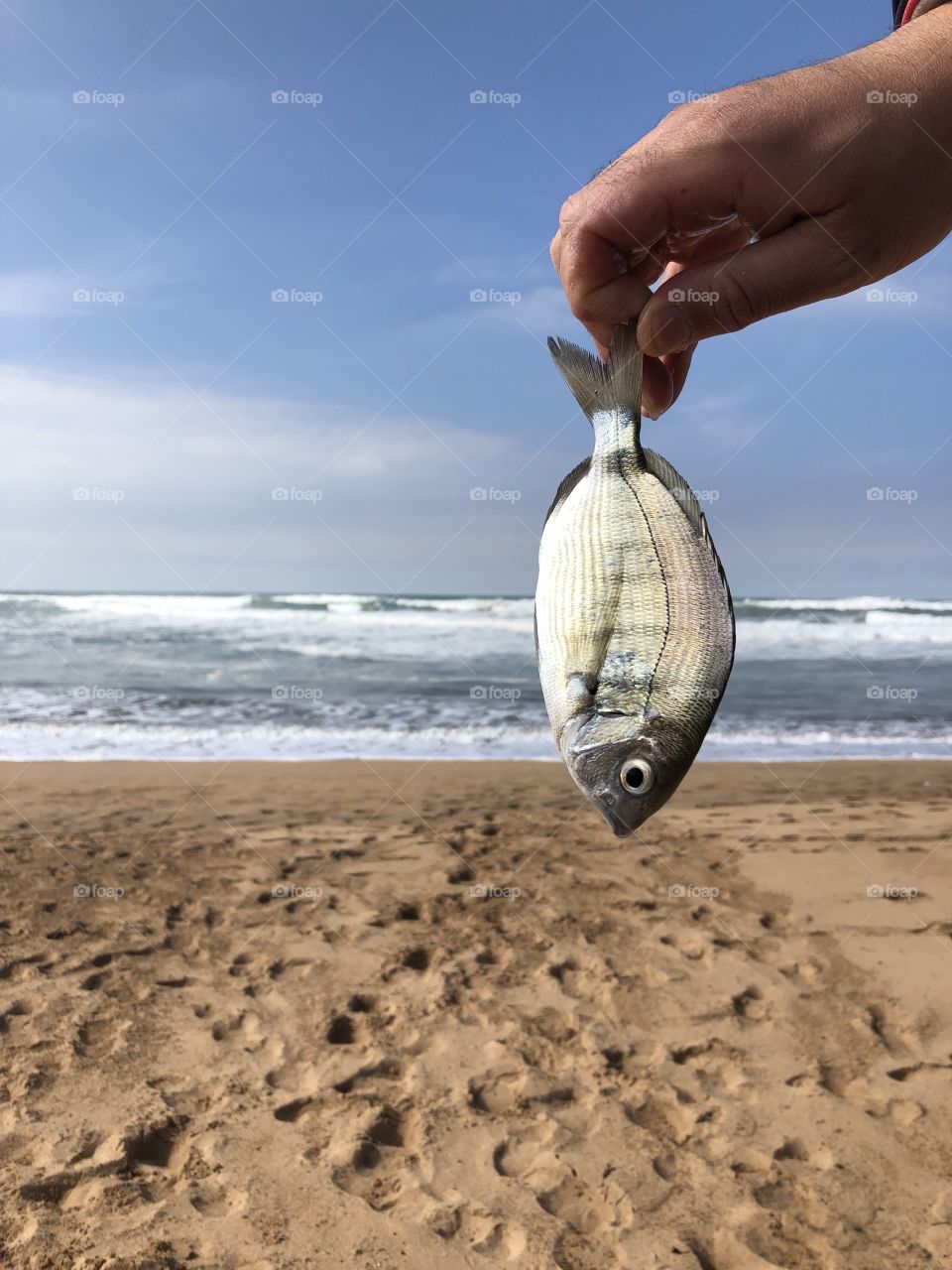 Fish sky Morocco 