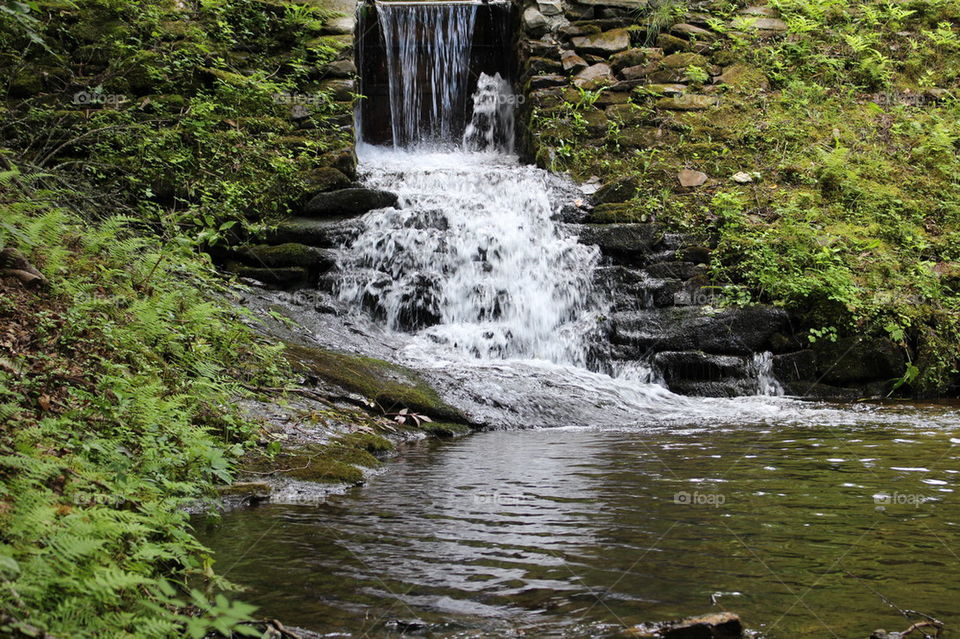 Waterfall in the forest