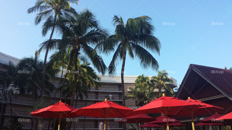 umbrella resort. Hawaii