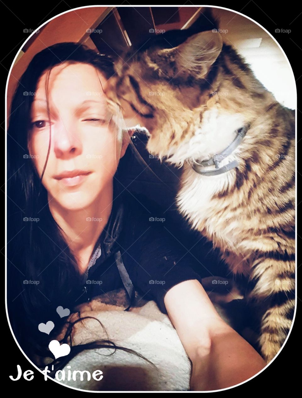 A kiss from my Maine Coon Cat Hannibal