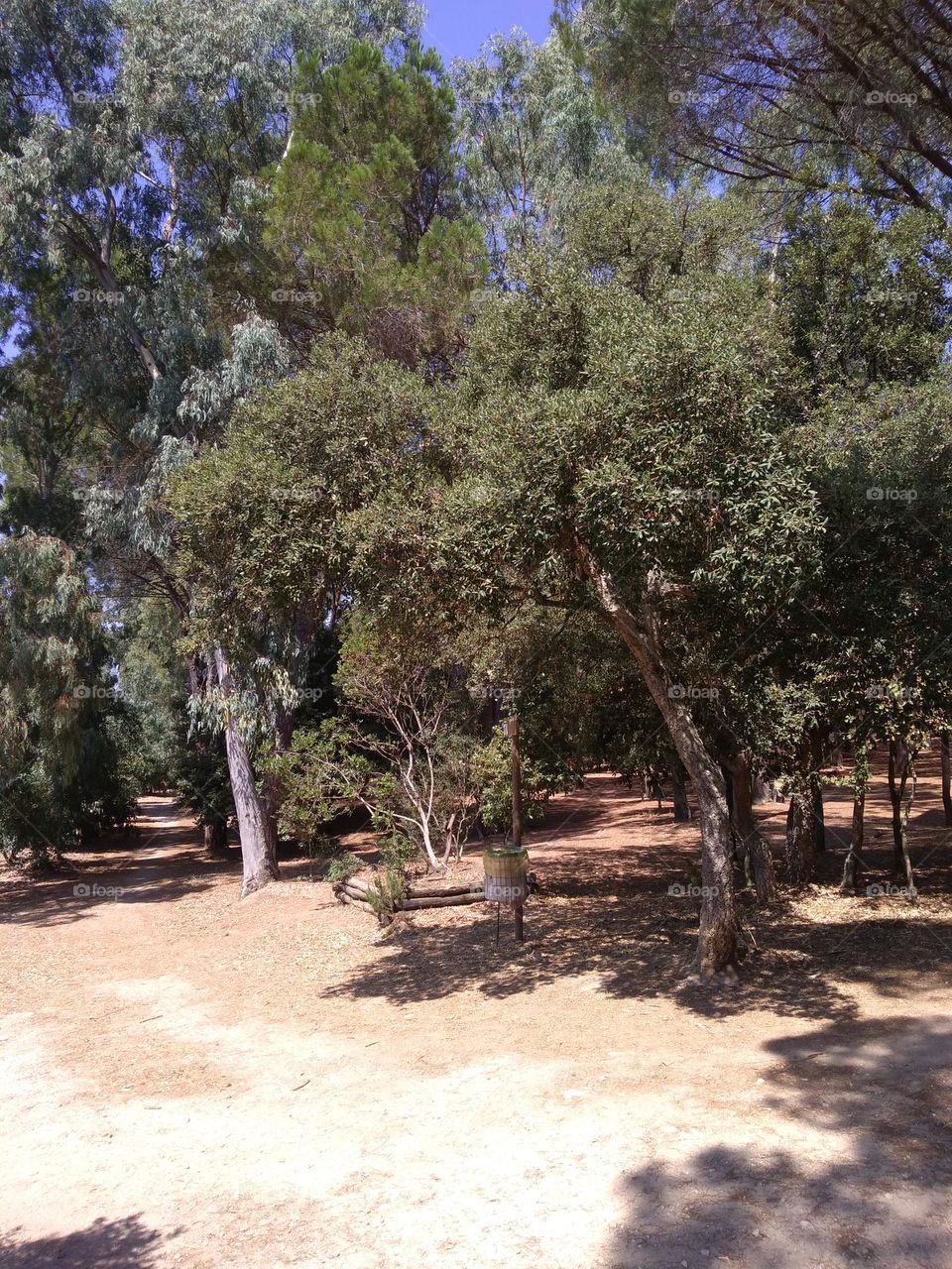 Best of 2021: Nature