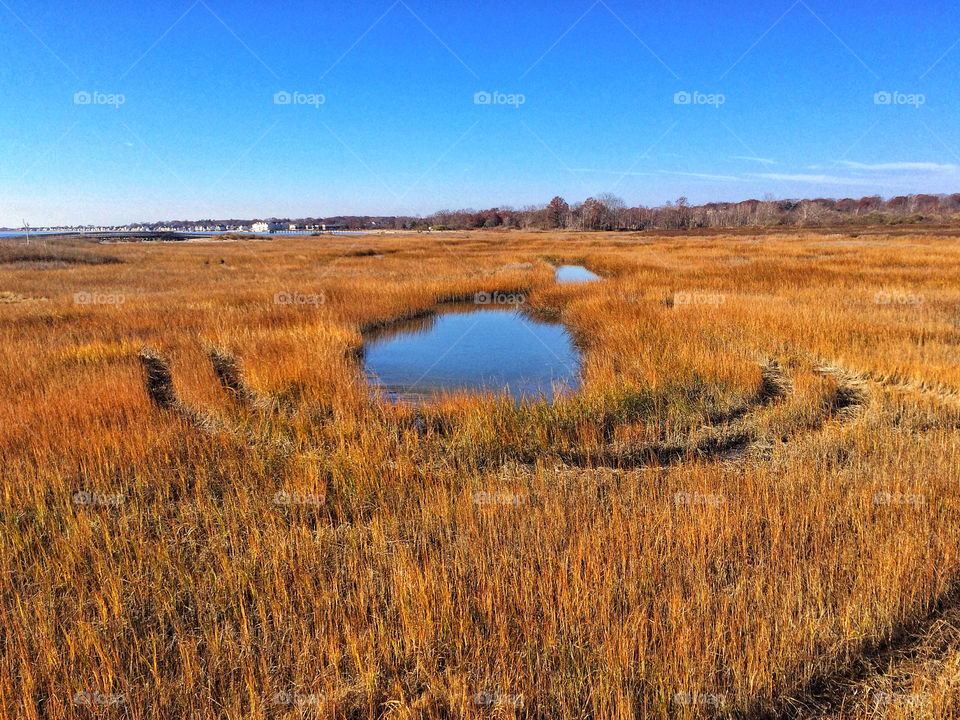 View of small pond