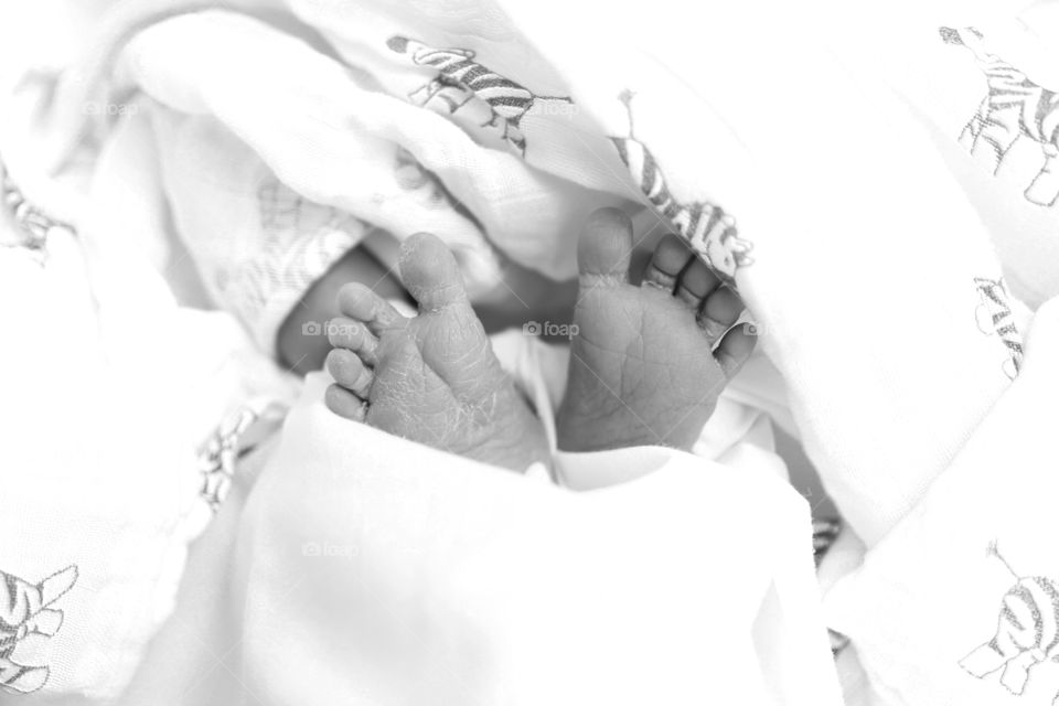 A black and white of a baby’s little toes and feet wrapped in  a swaddle