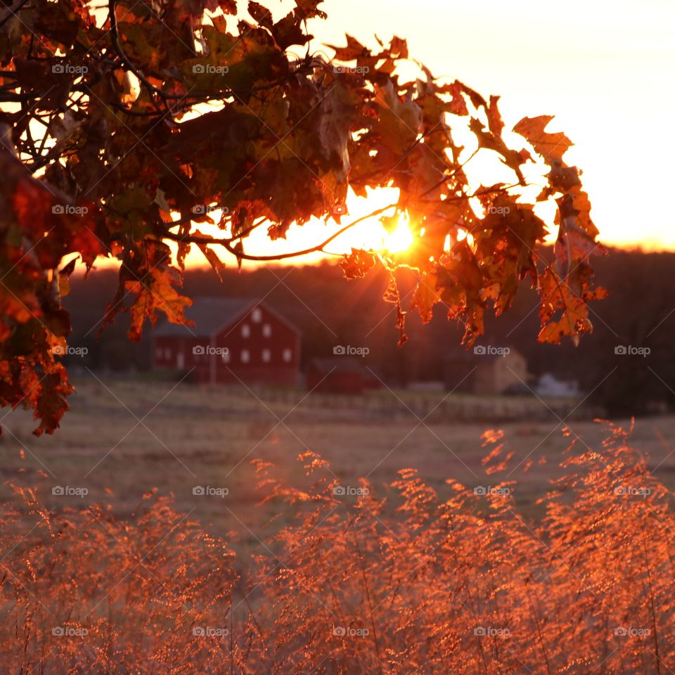 Autumn sunrise