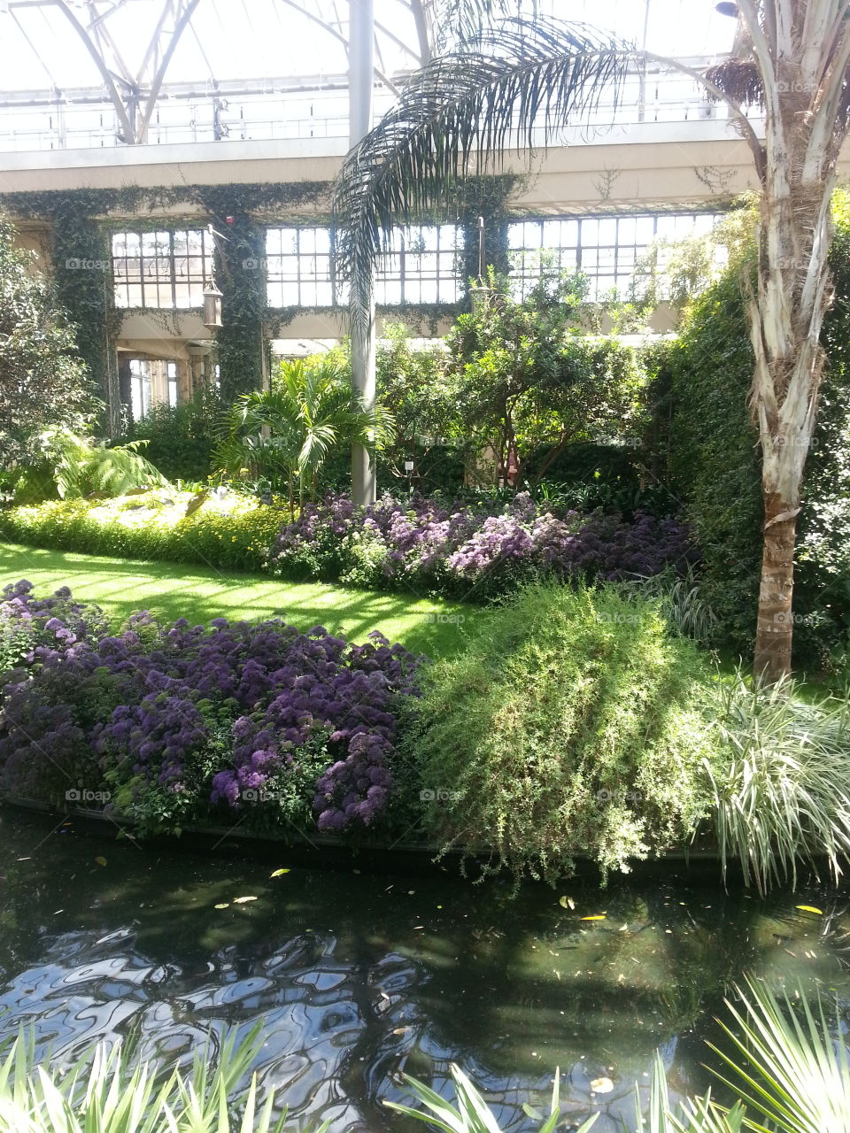 nature at it's best. trip to Longwood garden