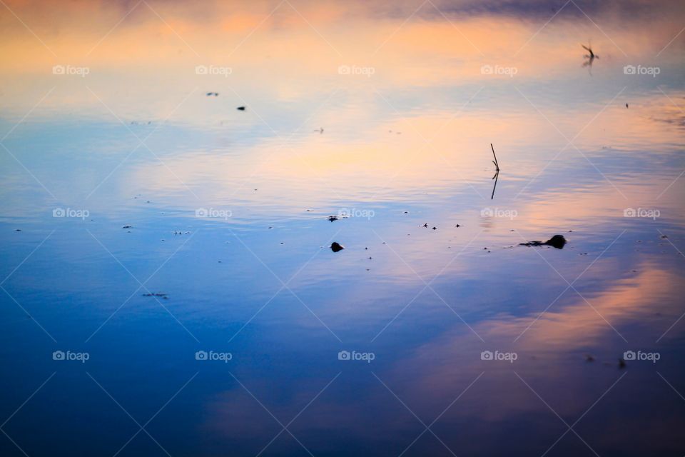 sky reflection abstract. Light Sky reflection on paddy field