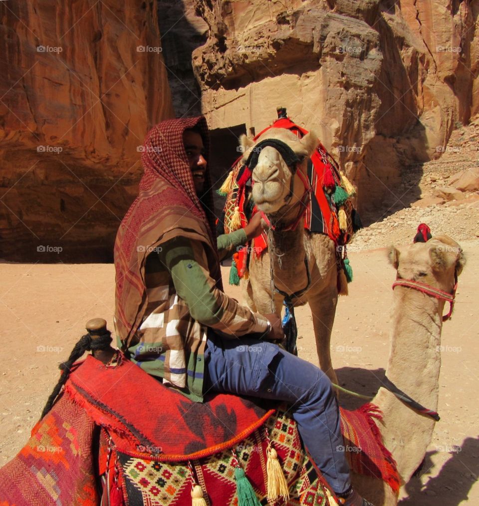 Man with camels 