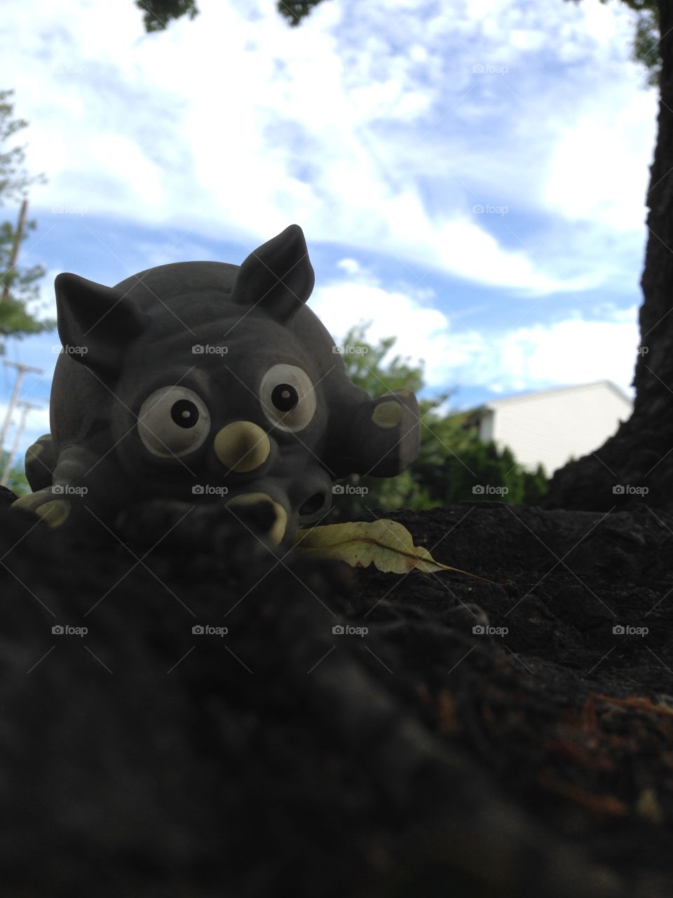 Lost.... And maybe found?