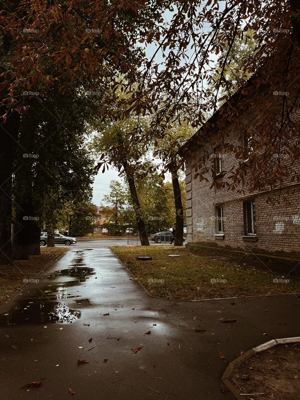 Ukraine 