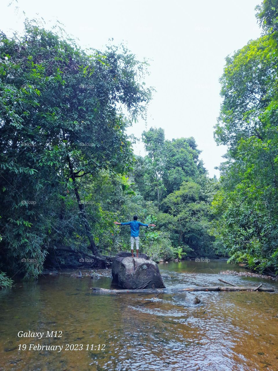 Kanneliya forest