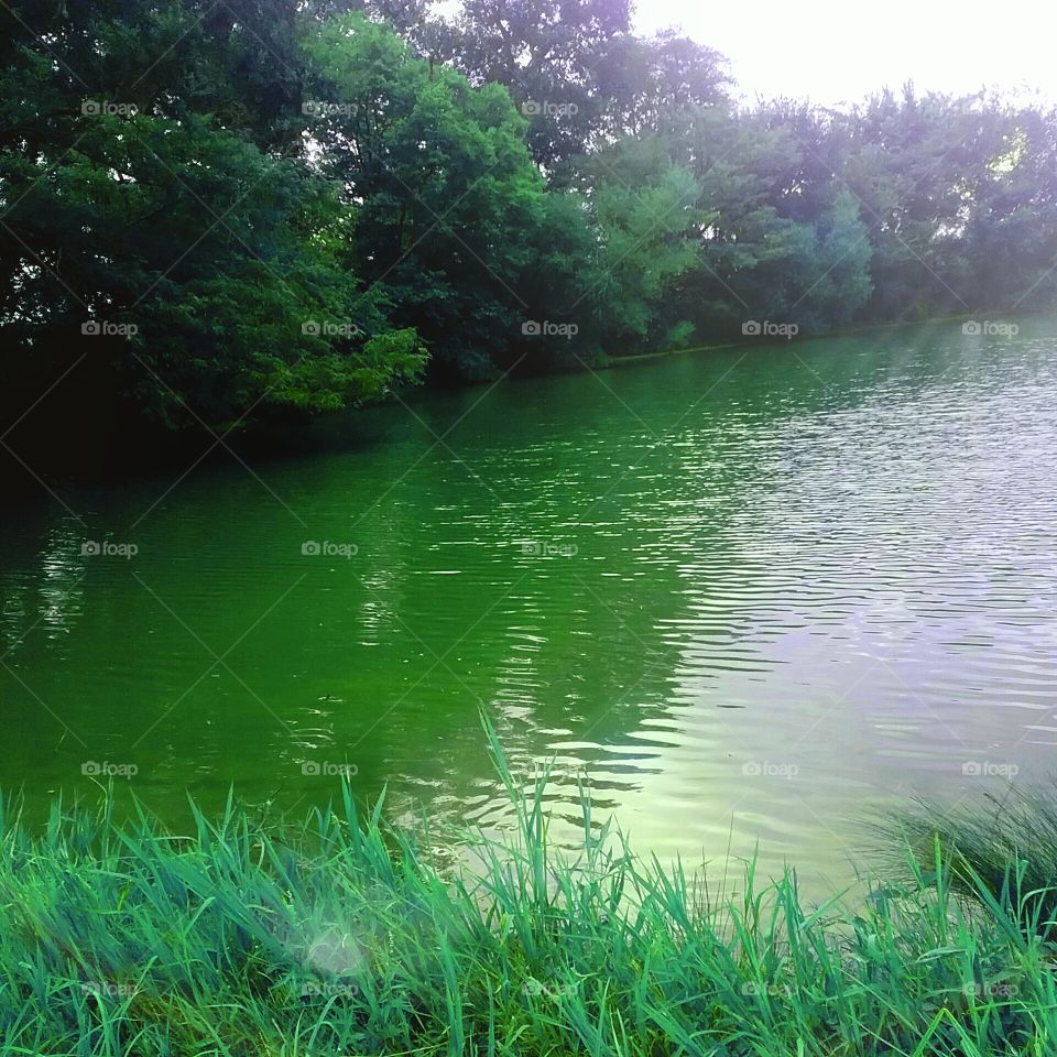 our lake