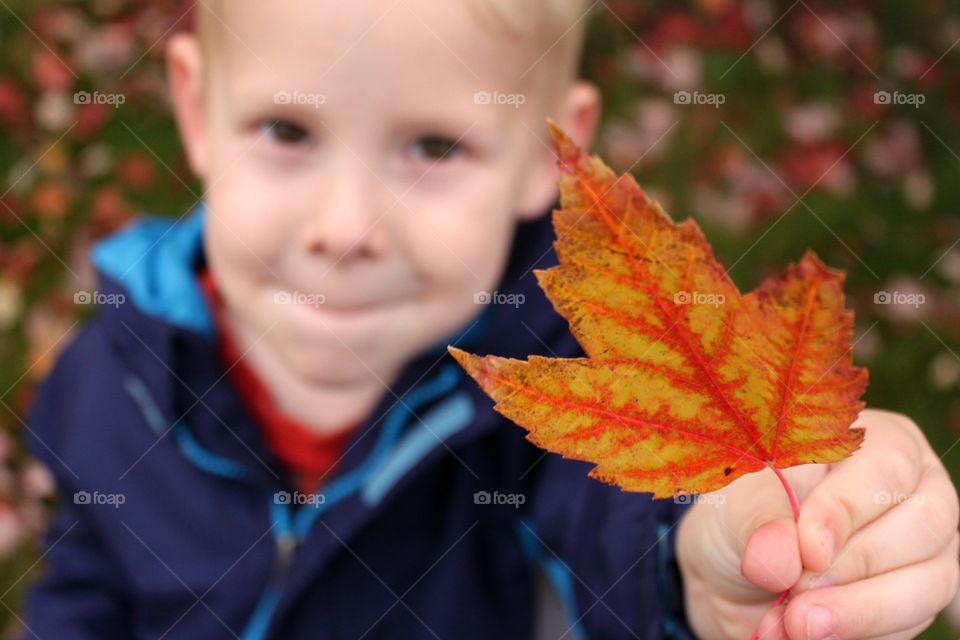 Leaf Hunter