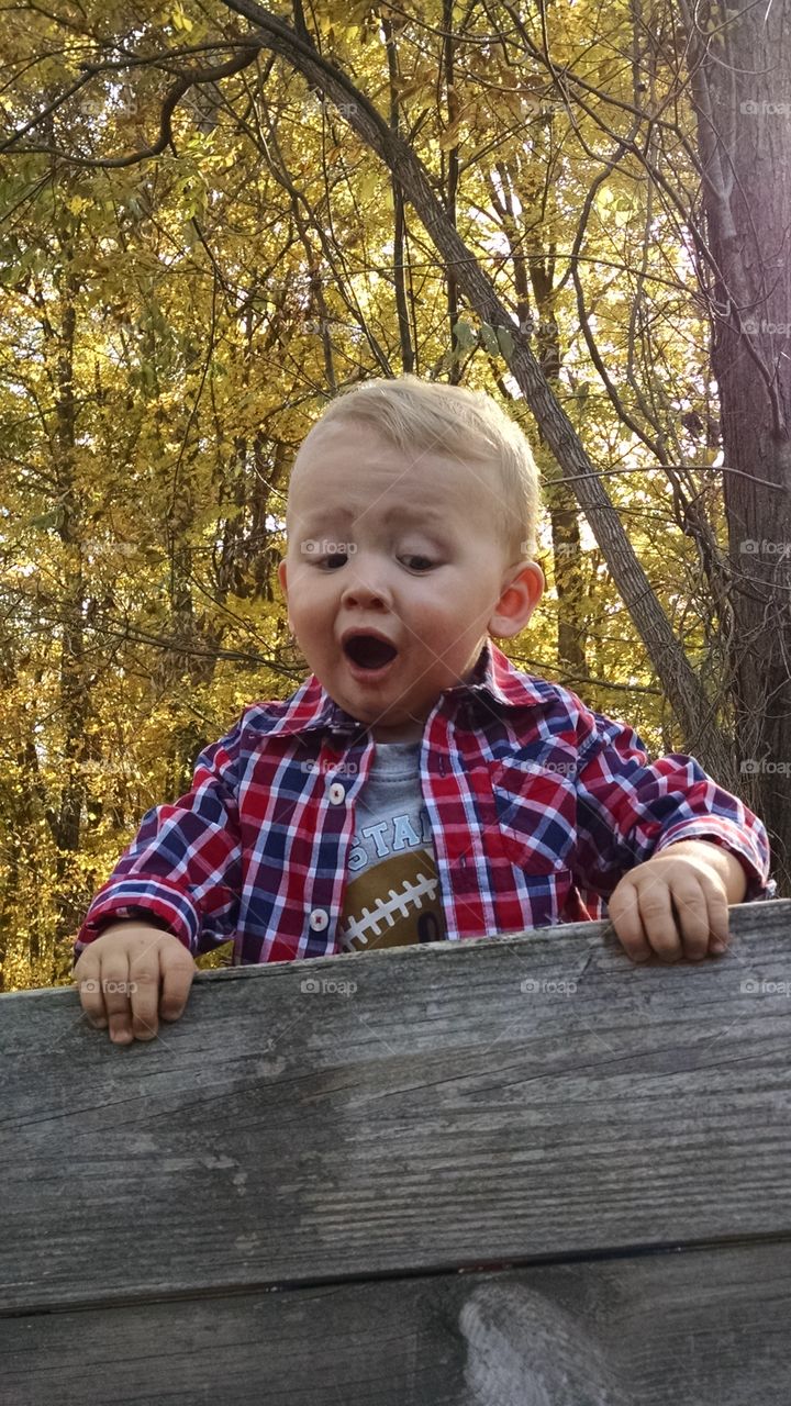 sage loves fall. photoshoot in the woods