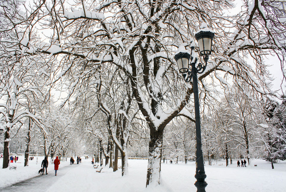 People walking at the winter park