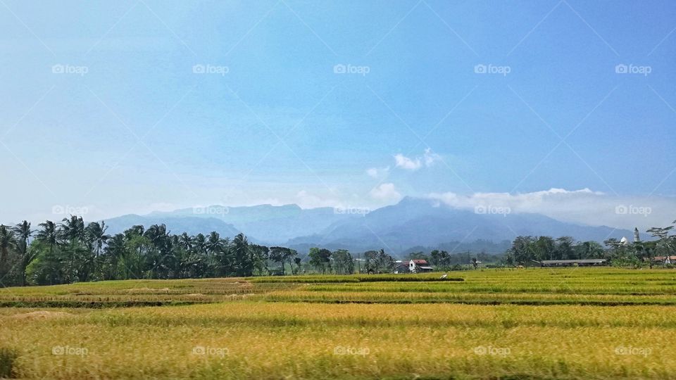 picture was taken from the inside of moving train
