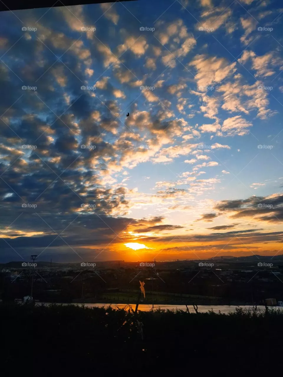 view