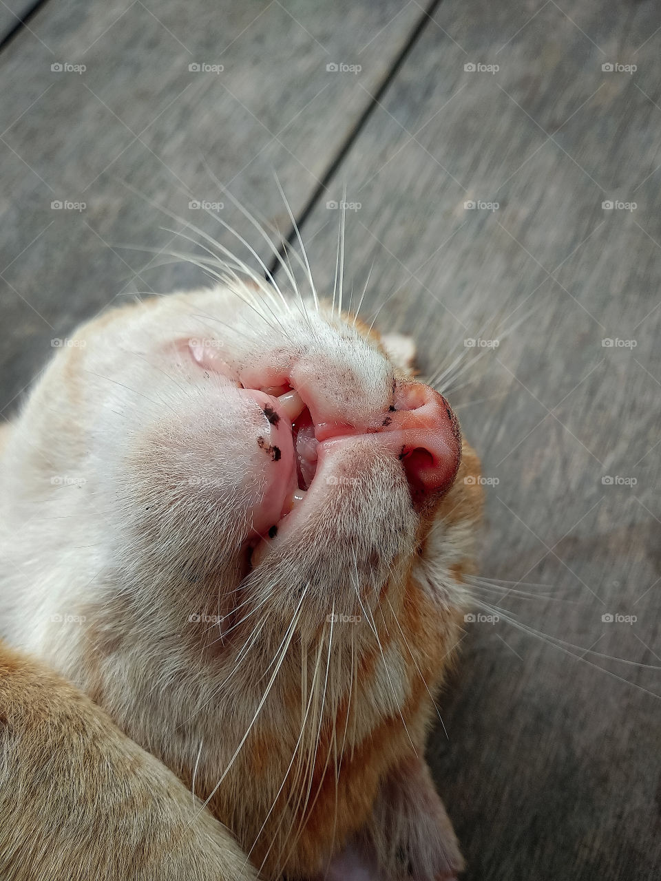 after coming home from playing immediately fell asleep