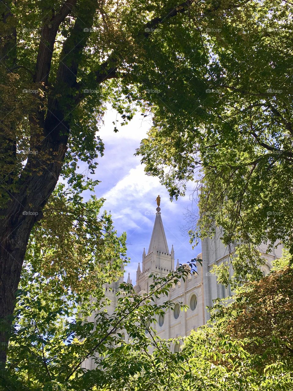 Perfect view. Moroni. Tree framing beautiful building. LDS Temple. Golden statue. Perfect blue sky.