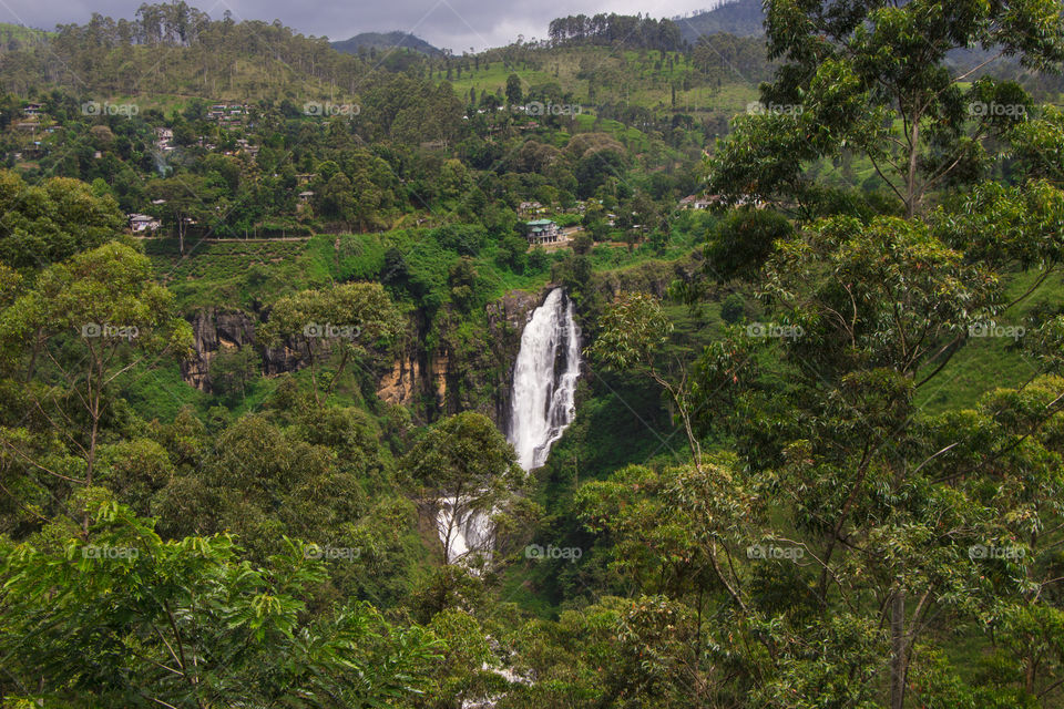 Beautiful  nuwara eliya, Srilanka