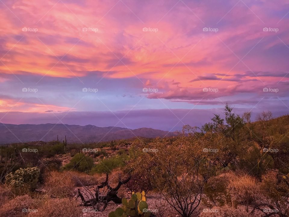 Desert Landscape - Sunset 