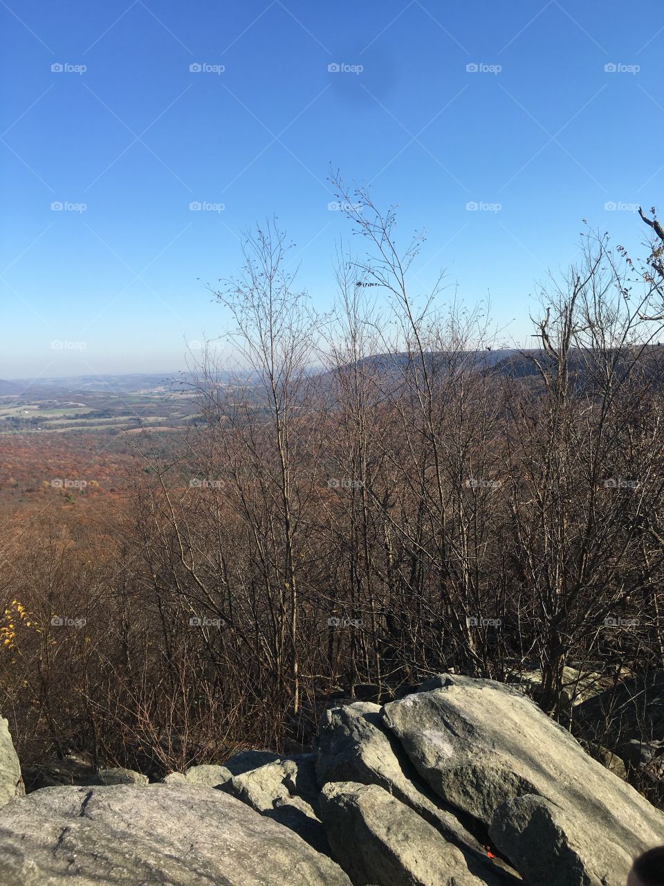 Hawk mountain 