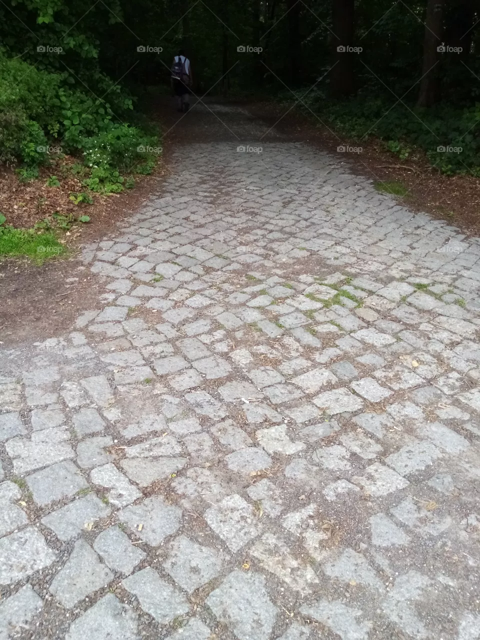 waldstrasse
