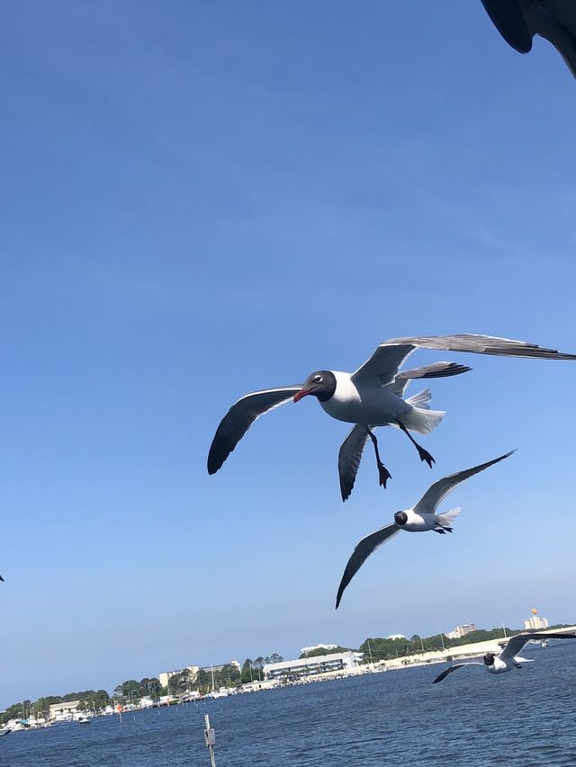 Emerald Coast
