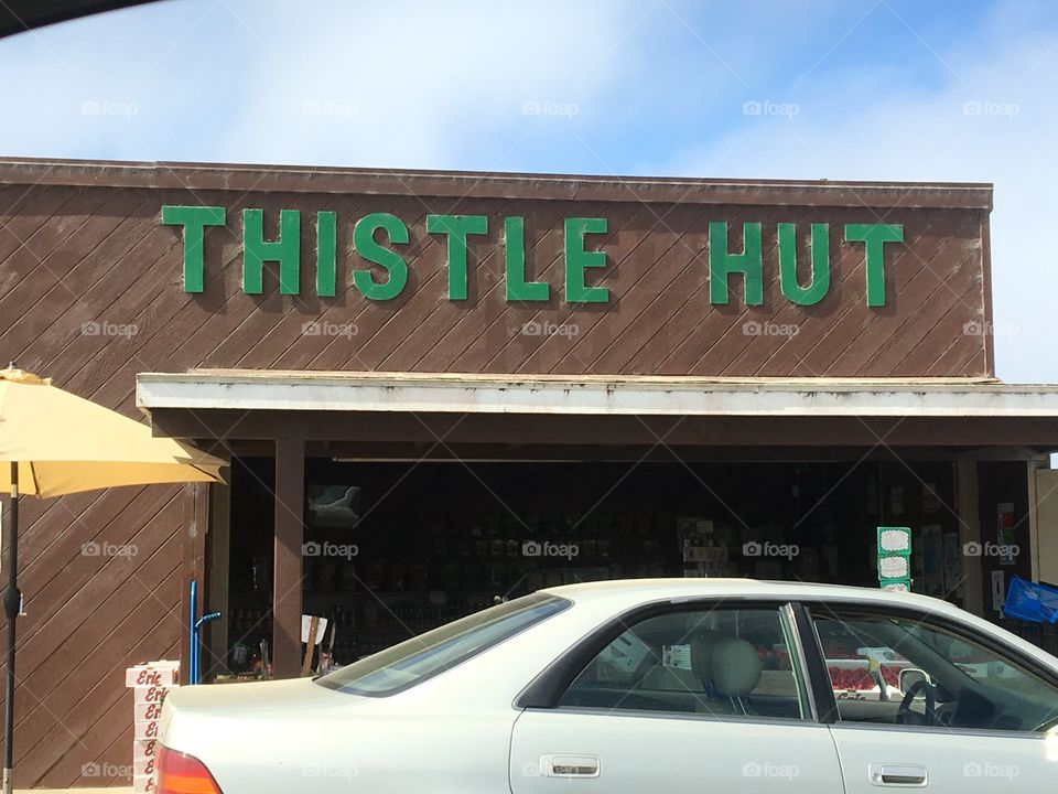 Welcome to the Thistle Hut