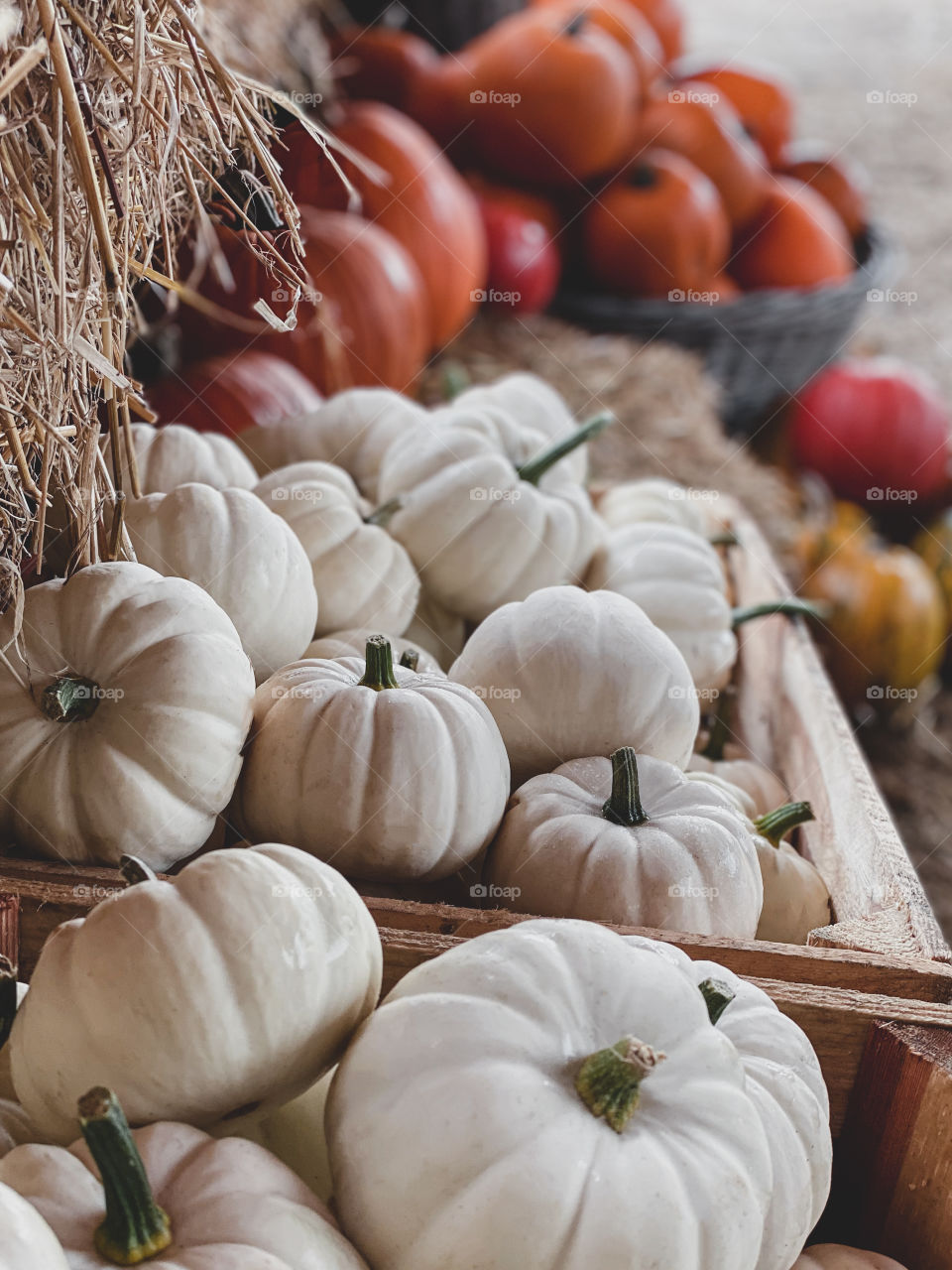 Pumpkins