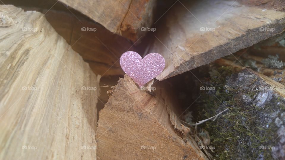 heart on a log