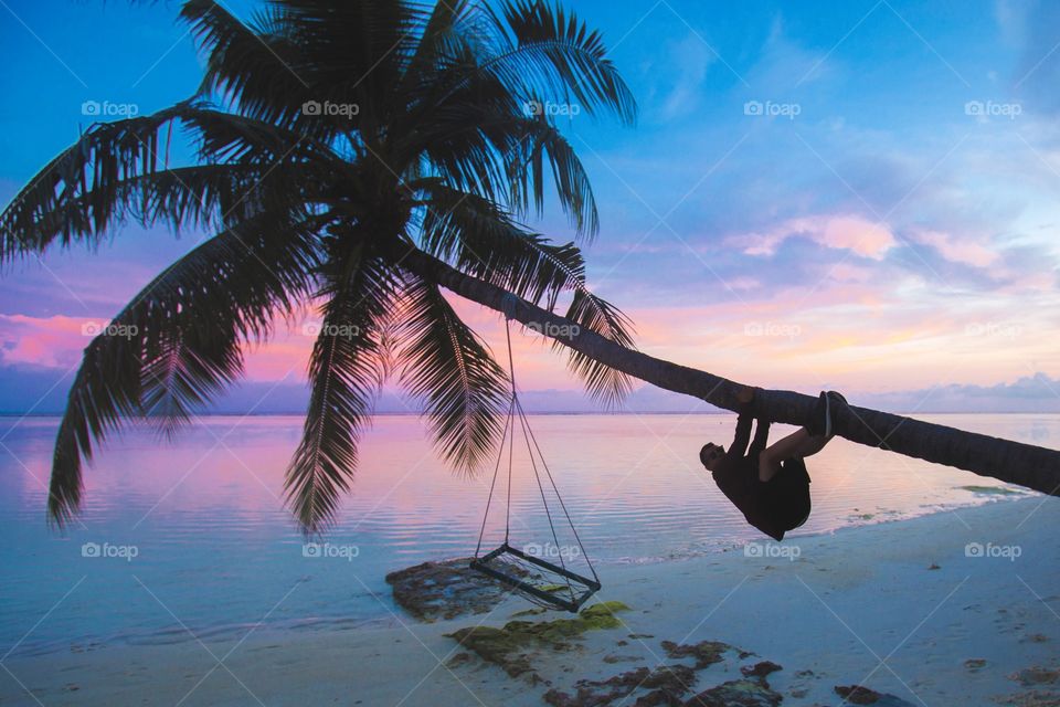 Man climbing a palm tree during sunset 