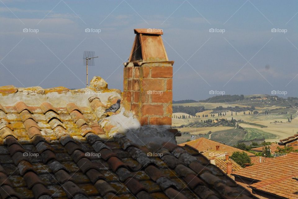Tuscan roofs