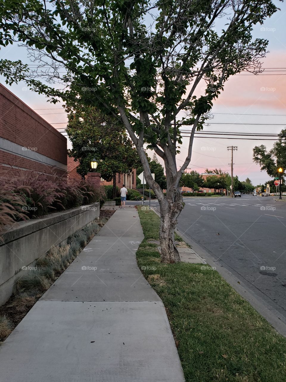 curve in the sidewalk